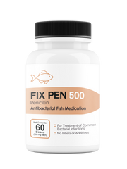 Fish Pennicillin 500mg (60 Count).