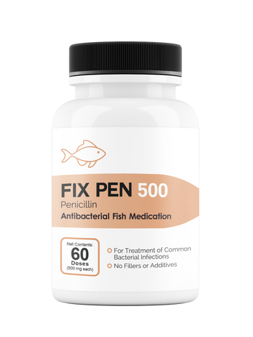 Fish Pennicillin 500mg (60 Count).