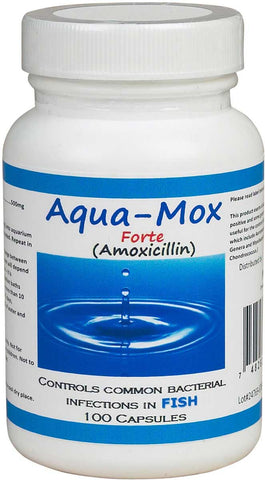 Aqua Mox Forte - Amoxicillin - 500mg (100 Count). No prescription required.