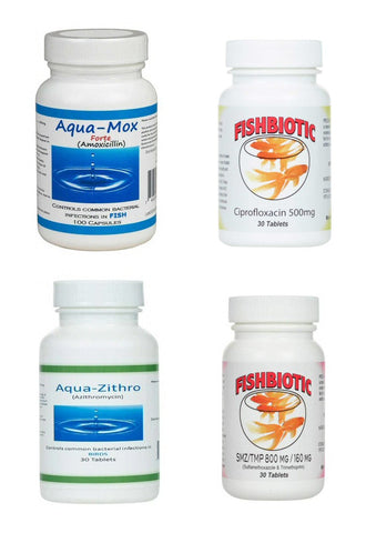 Combined Bundle - Amoxicillin, Azithromycin, Ciprofloxacin, Sulfamethoxazole